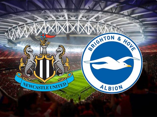 Soi kèo bóng đá 88FUN trận Newcastle vs Brighton, 20:00 - 20/9/2020