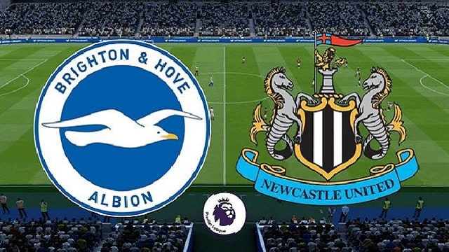 Soi kèo bóng đá 88FUN trận Brighton vs Newcastle, 3:00 – 21/03/2021 Soi kèo bóng đá 88FUN trận Brighton vs Newcastle, 3:00 – 21/03/2021
