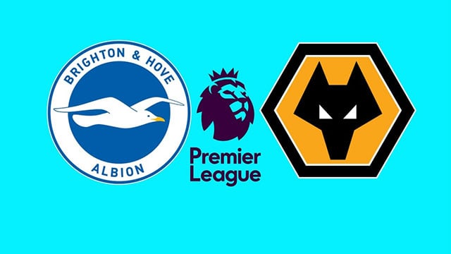 soi keo bong da tran brighton vs wolves, 02:30 - 16/12/2021
