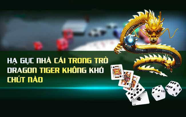 Hé lộ chiến thuật chơi Rồng Hổ đỉnh của cao thủ mê bài He lo chien thuat choi Rong Ho dinh cua cao thu me bai