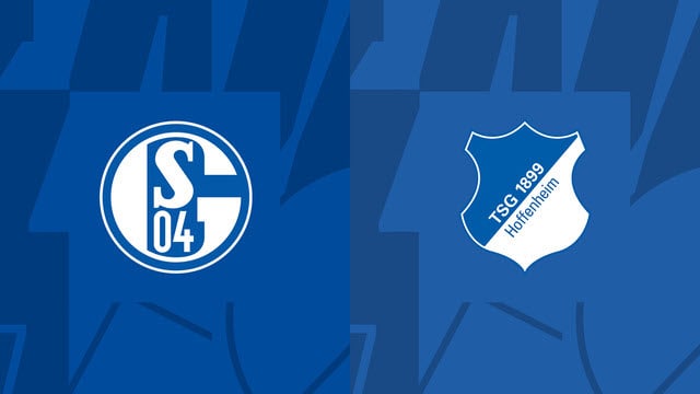 Soi kèo bóng đá 88FUN trận Schalke vs Hoffenheim, 01:30